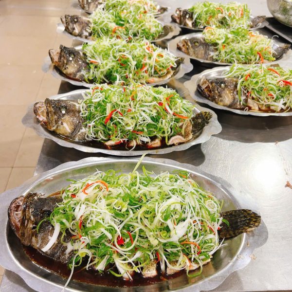 Thực đơn 7 mang đậm phong vị ẩm thực miền Bắc với những món ăn thanh nhã, tinh tế và giàu hương vị truyền thống. Mở đầu là súp gà xé nấm tuyết nhẹ nhàng, ấm bụng, kết hợp giữa vị ngọt thanh của gà và độ giòn mát của nấm tuyết. Cá bống mú hấp xì dầu là món ăn nổi bật với thịt cá chắc, thấm đẫm nước xốt đậm đà kiểu Bắc. Giò heo hầm ngũ vị mềm thơm, béo vừa đủ, là món ăn quen thuộc trong những bữa cơm sum họp. Gà hấp cải bẹ xanh ăn kèm xôi dẻo tạo nên sự kết hợp trọn vẹn giữa vị ngọt thịt và sự thanh mát của rau xanh. Lẩu cá chình măng chua tiếp nối với hương vị chua dịu, thơm ngon, thích hợp cho những ngày se lạnh. Kết thúc thực đơn là chè khoai môn ngọt bùi, mộc mạc nhưng đậm đà. Một thực đơn lý tưởng dành cho những ai yêu thích nét tinh túy của ẩm thực miền Bắc.